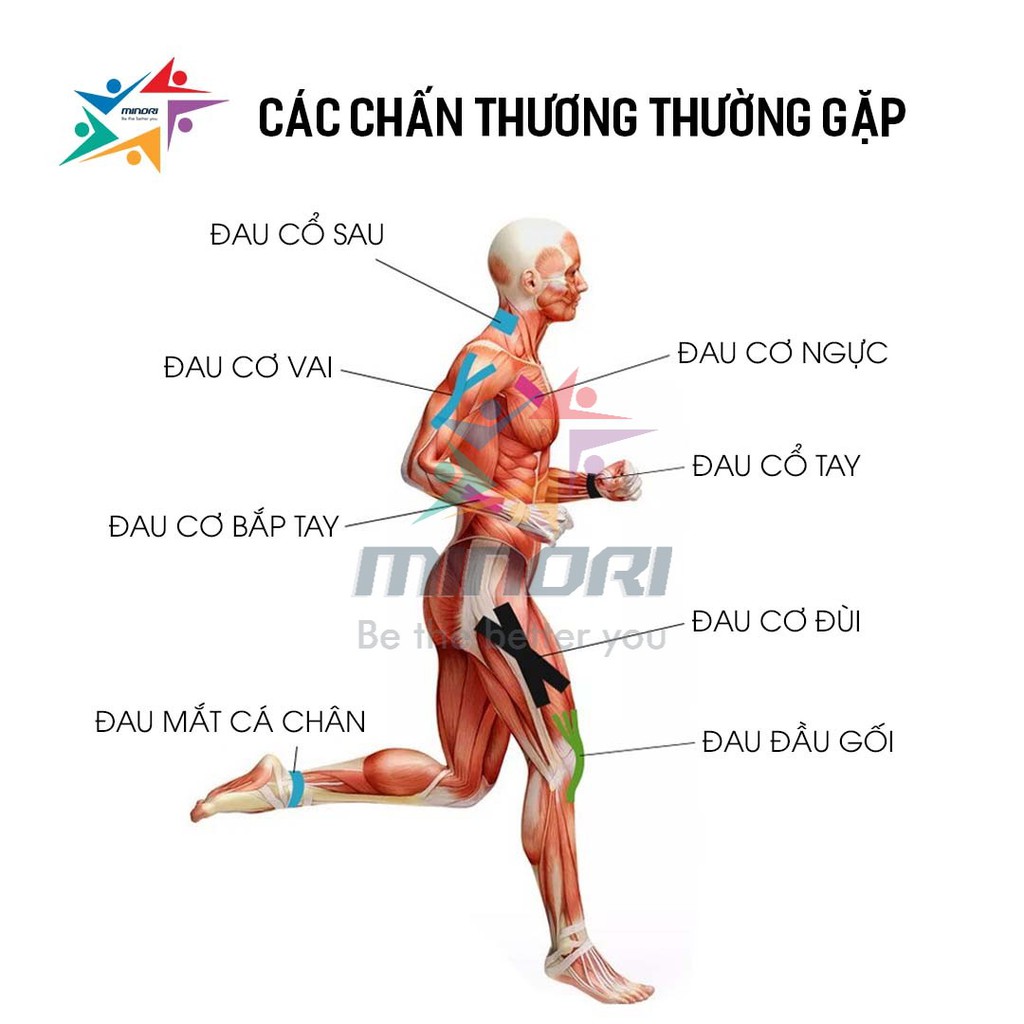 Cuộn Băng Keo Dán Cơ Aonijie E4402 Đàn Hồi Hỗ Trợ Dán Cơ Bắp, Ngăn Chấn Thương Cơ, Hạn Chế Chấn Thương, Tổn Hại Cơ