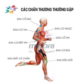 CUỘN BĂNG KEO DÁN CƠ AONIJIE E4402