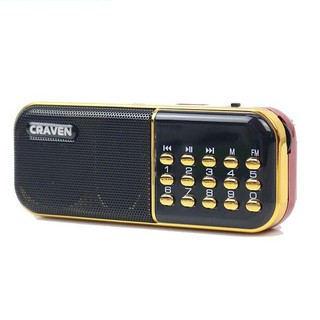 Loa nghe nhạc CRAVEN CR-25