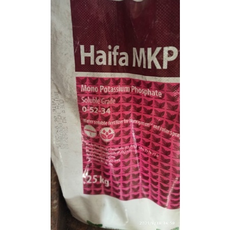 Phân bón MKP haifa