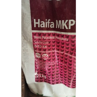phân bón MKP haifa