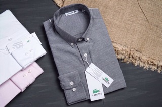 Sơ mi lacoste