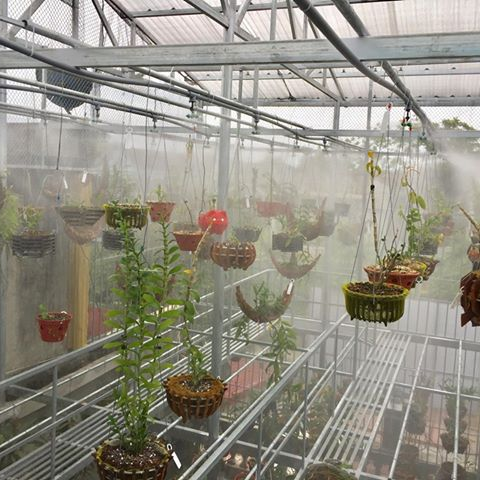 Một Ngàn Béc Tưới