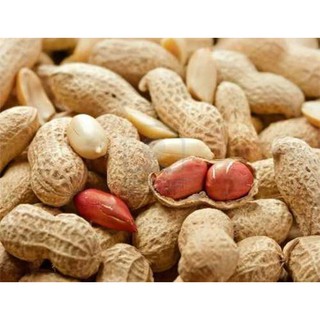 Lạc đỏ Điện Biên( loại nguyên vỏ, tách hạt)