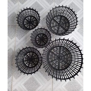 Chậu trồng lan phi 35cm có lan phụ