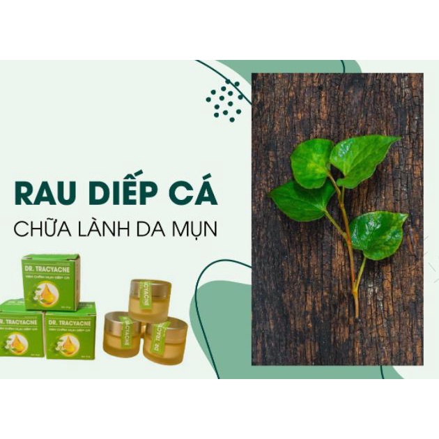 Kem cho da mụn Skinacne - Chiết suất rau má Diếp cá