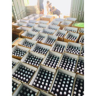 MẮM TÔM ĐẶC BIỆT BA LÀNG ( 500G)