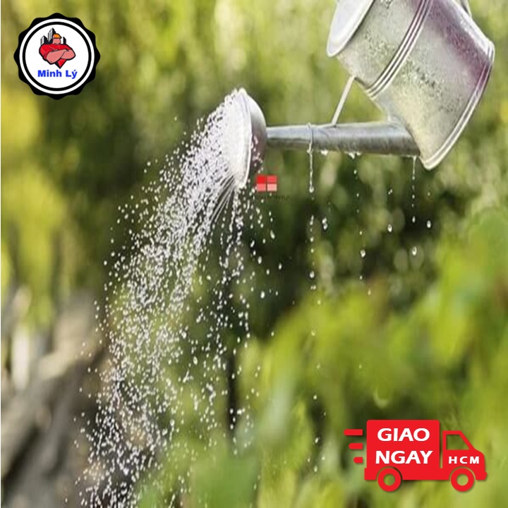 Bình tưới cây, thùng tưới cây bằng thiếc dày