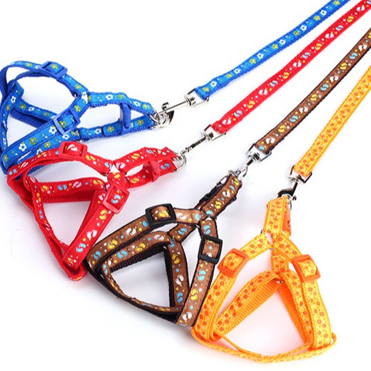 Dây Dắt Chó Mèo Cao Cấp - Dây Dắt Kèm Đai Yếm Cho Chó Mèo LUPETVN