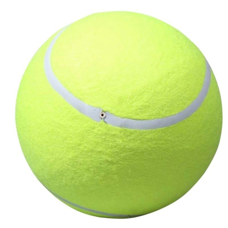 Đồ chơi quả banh tennis cho thú cưng