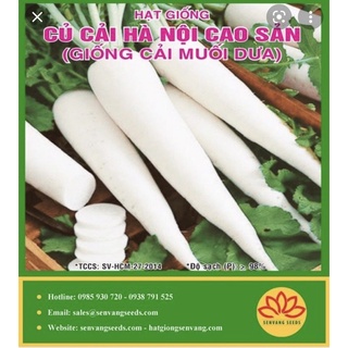 Hạt giống củ cải hà nội 20gr