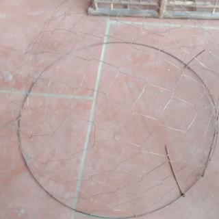 Bội úp chim cu gáy thép đen đàn hồi..