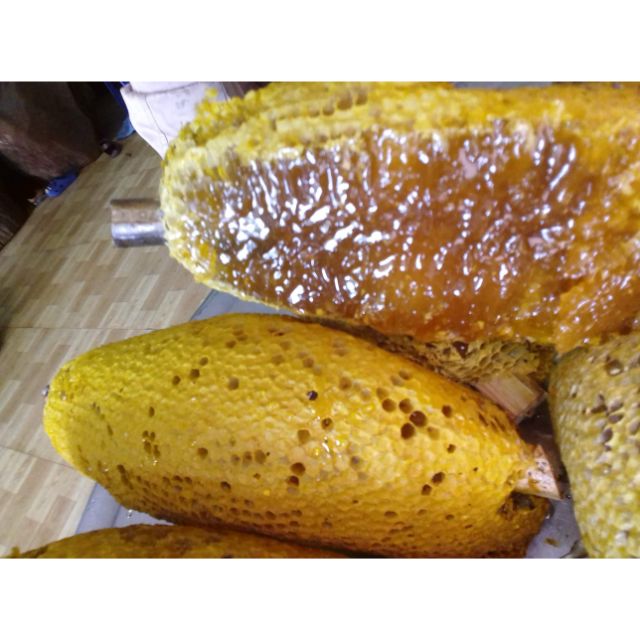 Mật ong rừng nguyên sáp - 2kg