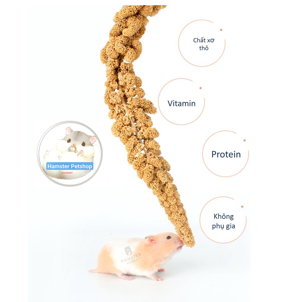 Kê chùm cho hamster, thỏ , bọ , sóc , chim