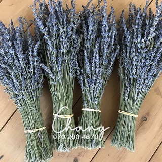 Bó hoa khô Lavender Pháp (hoa Oải hương)