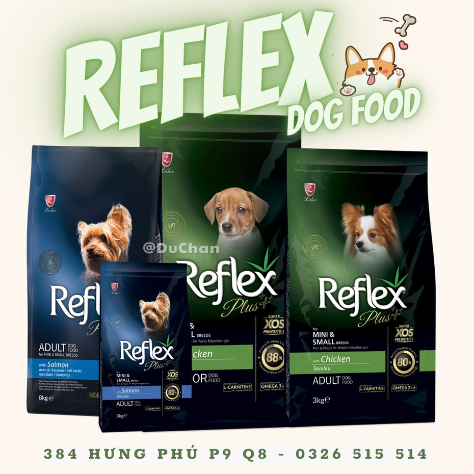 REFLEX PLUS 1Kg Lẻ Dog Food - Thức Ăn Hạt Cao Cấp Cho Chó Giá Rẻ