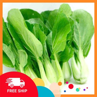 Gói 10 gr giống rau cải chip (cải thìa)