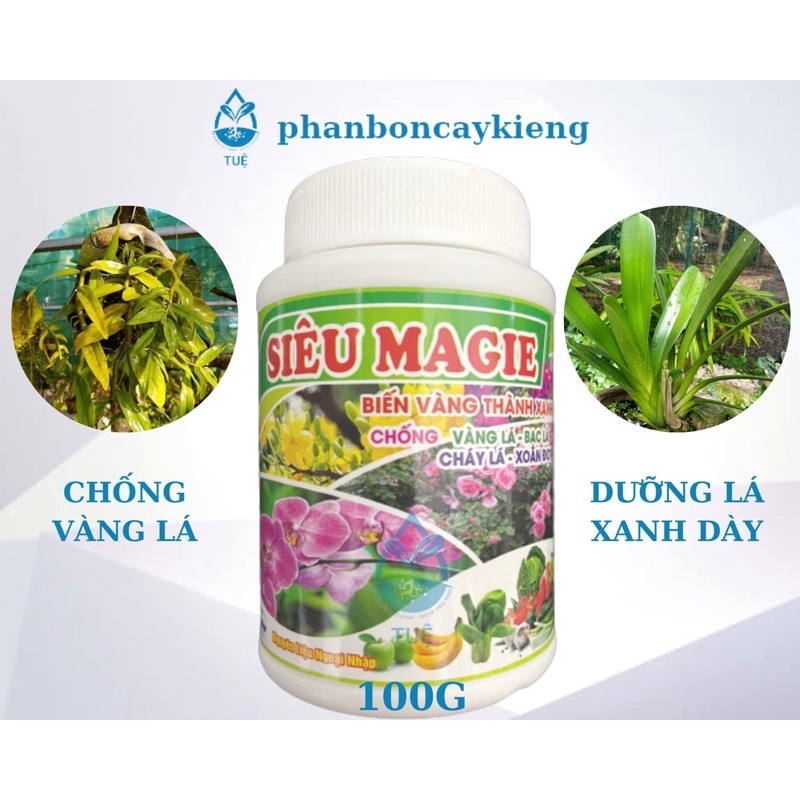 Siêu Magie chống vàng lá vàng lá thành xanh, bạc lá, xoắn đọt chai 100 gram