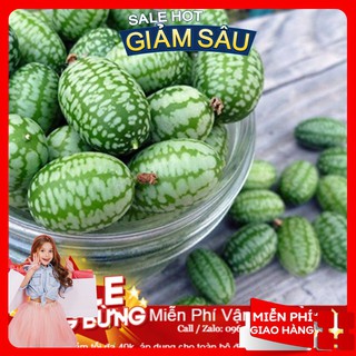 Hạt Giống Dưa Hấu Mini - 10 Hạt / Gói