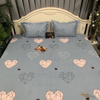 Ga chun trần cotton bambilo