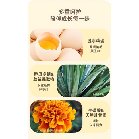 Thức ăn cho mèo Adventure Hạt cho mèo với 5 loại thịt sấy khô NourseVietnam AD02