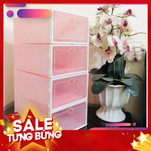 COMBO 5 Hộp Đựng Giày Nắp Nhựa PP Trong Suốt Size 33x23x13 Giá Rẻ Tiện ích