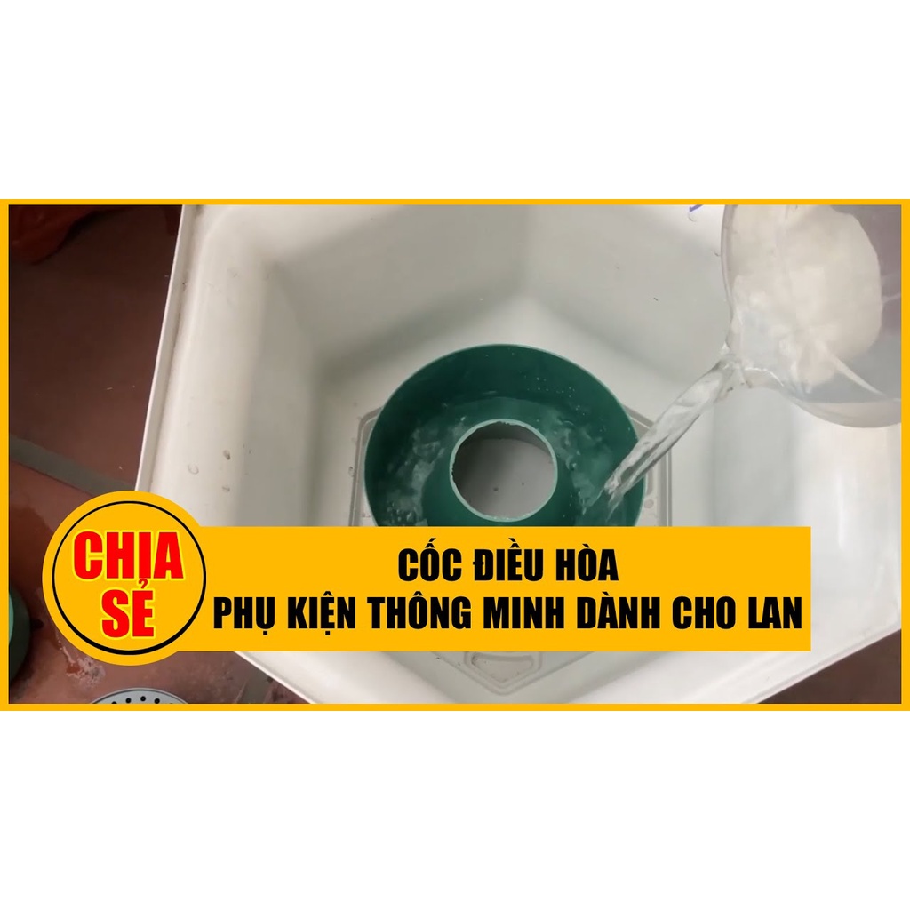 Cốc điều hòa trồng cây, cốc làm mát giúp giá thể ẩm, tạo điều kiện thuận lợi cho bộ rễ phát triển, chậu nhựa trồng cây