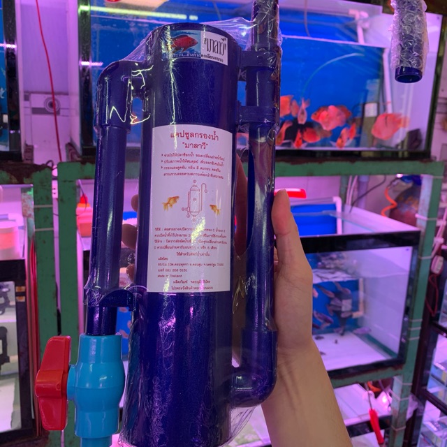 Cây Lọc Khử CLO Thailand
