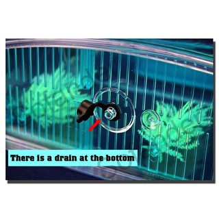 Bể nuôi cá betta mini 2/3 ngăn có thể tháo lắp