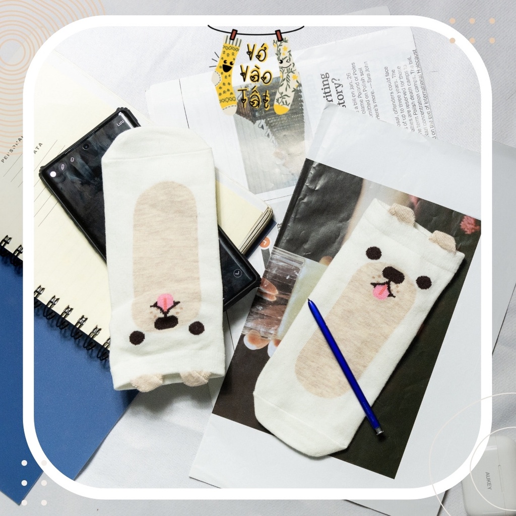 TẤT VỚ CỔ NGẮN MÈO CÚN CÓ TAI