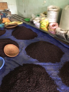 100gr HẠT DỔI ĐẶC BIỆT