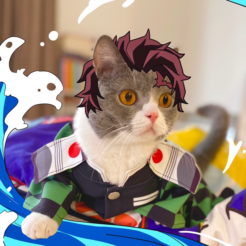 Trang phục hóa trang nhân vật hoạt hình Demon Slayer Kimetsu No Yaiba dễ thương vui nhộn cho mèo Katten Kedi Disfraz Para Gato