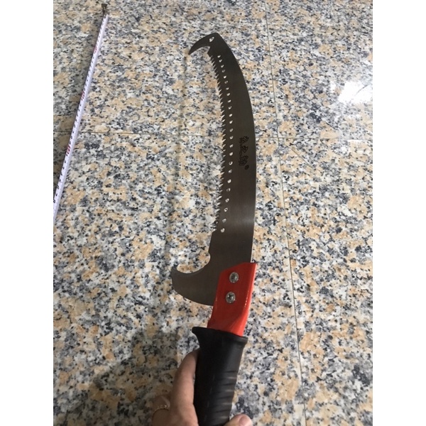 Xứa cưa nhánh cây