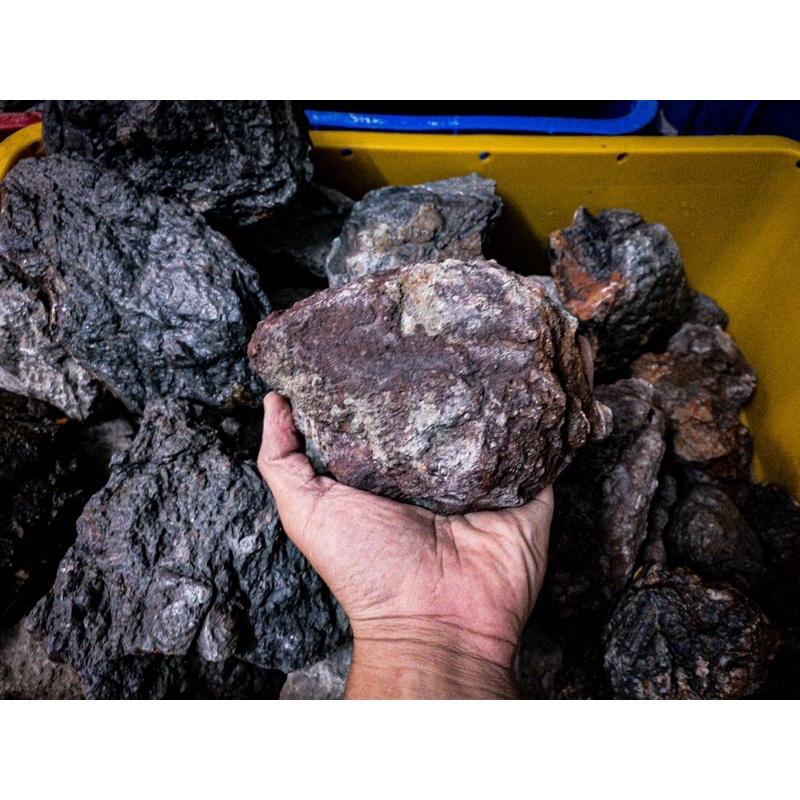 Đá Frodo Siêu Vân | Trang trí Setup Bể Thủy Sinh, Biotope,... | Mua Nhiều Giảm Giá.