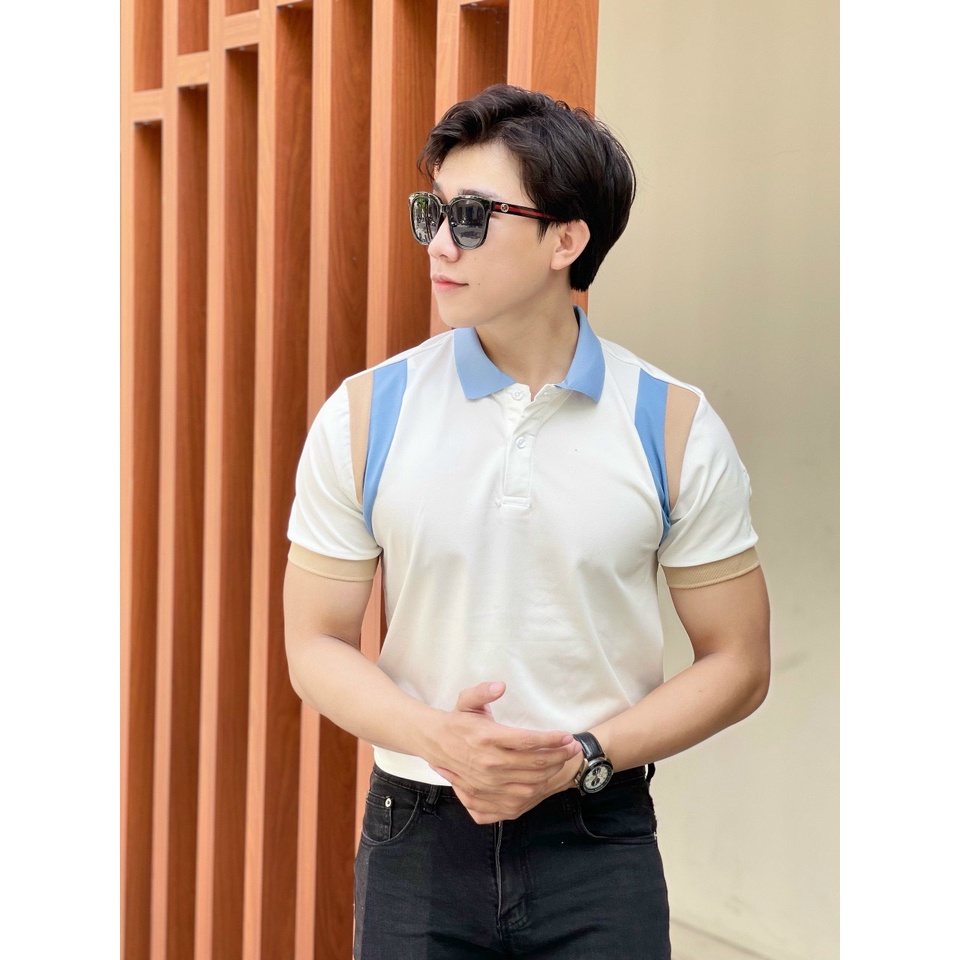 Áo polo nam cổ bẻ vải cá sấu Cotton xuất xịn,chuẩn form, sang trọng - thanh lịch TB021