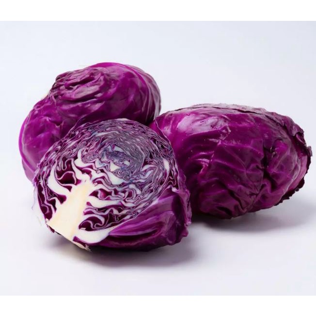 100 Hạt Giống Cải Bắp Màu Tím