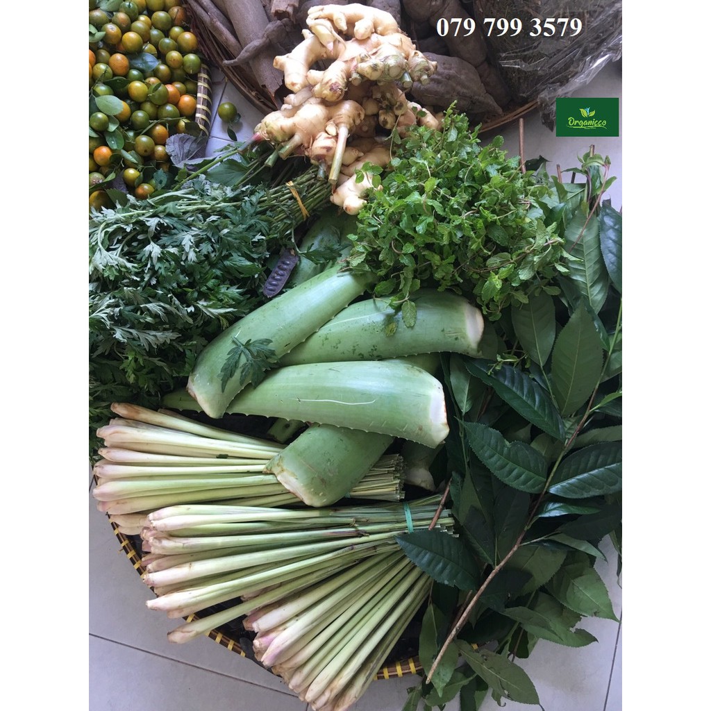 Dầu gội Thảo Dược / Dầu gội Handmade Thảo Mộc Bồ kết cô đặc, tự nấu,100% Organic | BigBuy360 - bigbuy360.vn