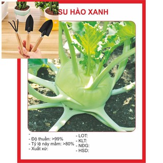 Hạt Giống Su Hào Xanh 0.5gr ~ 100 hạt TẶNG BỘ LÀM VƯƠN MINI