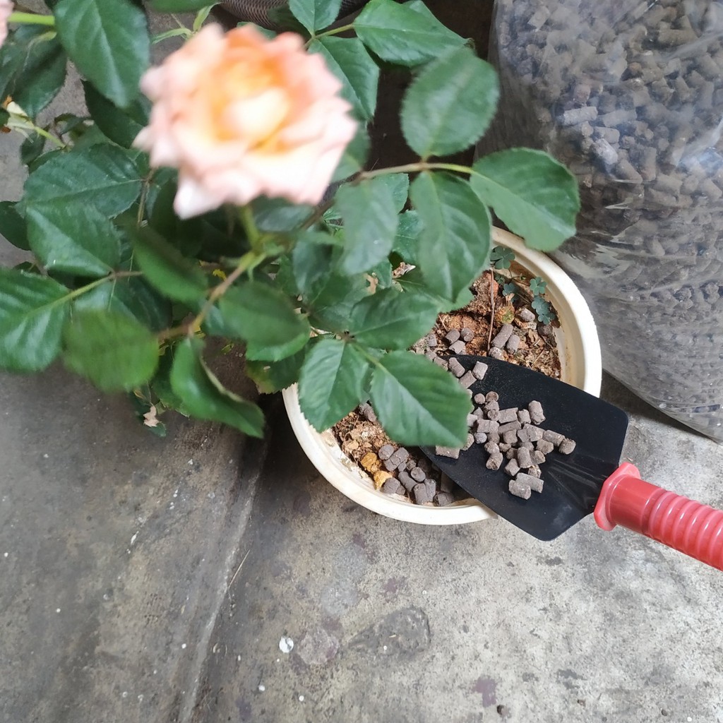 {15kg} Phân gà hữu cơ vi sinh đậm đặc – NHẬT BẢN-  JAPADI (mẫu bao bì tùy thời điểm nhập hàng)