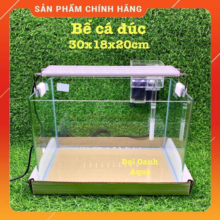 { RẺ VÔ ĐỐI } Bể Cá Kính Đúc 30cm Kèm Đèn Lọc Để Bàn, Dài 30cm Rộng 19cm Cao 21cm - Bể Cá Cảnh Mini