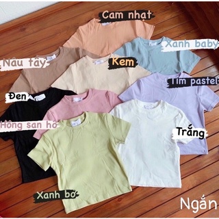 ÁO THUN CROPTOP ÔM GÂN BODY