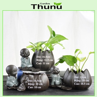 CHẬU PHONG THỦY MINI- Chú tiểu bên Hoa Sen