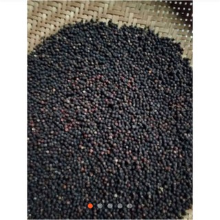 Tiêu đen Gia Lai chât lượng cao