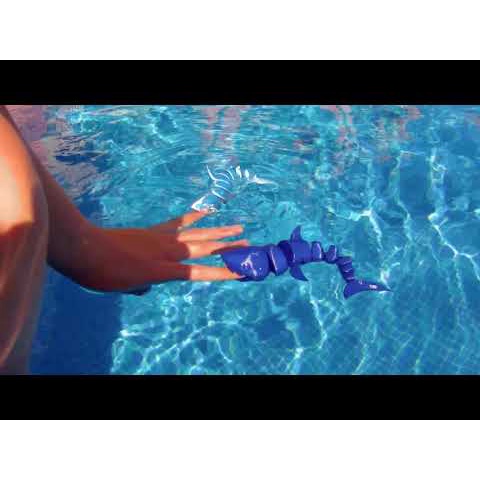 Cá mập Flexi shark