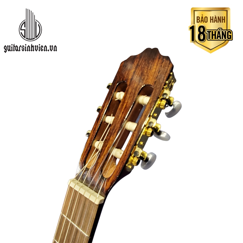 Đàn Guitar Classic Thùng Mỏng Gỗ Hồng Đào - Tặng Kèm Combo Phụ Kiện - Đàn Classic Thùng Mỏng Giá Rẻ