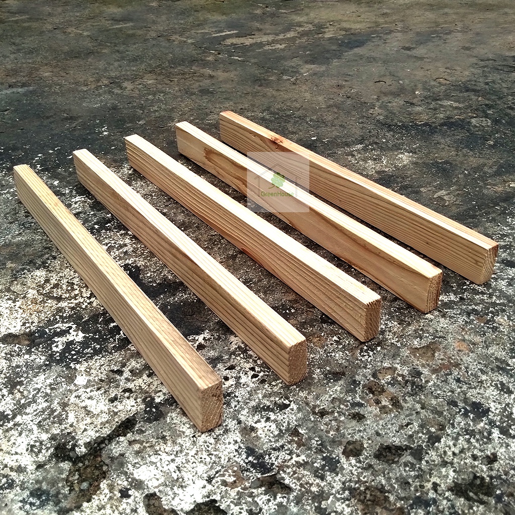 Combo 5 thanh gỗ thông  40x3.5x1.5cm Greenhouse - Ngôi Nhà Xanh