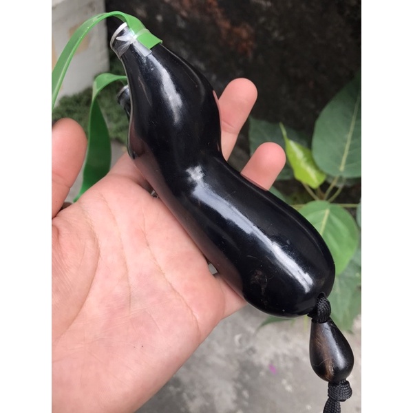 Ná gỗ mun sừng