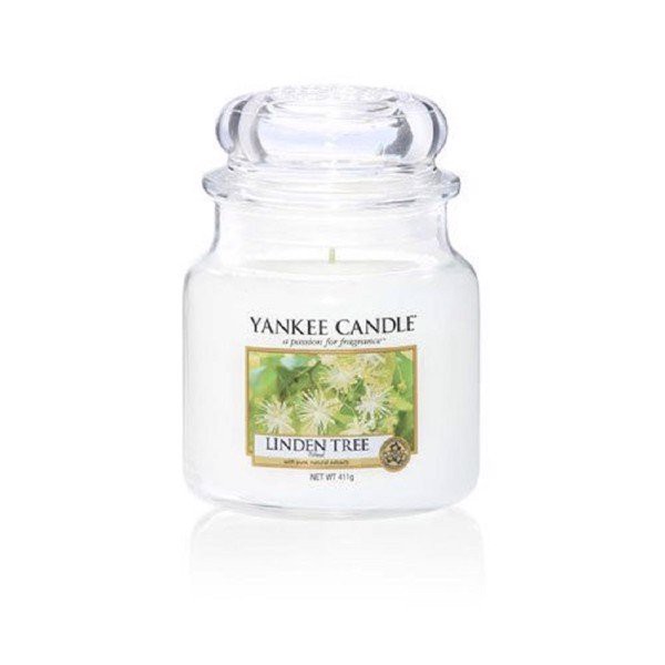 Hũ nến thơm Linden Tree Yankee Candle YAN9100 (Size M 411g)