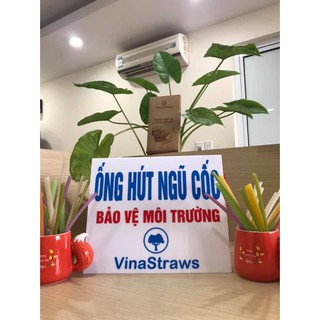 Ống hút Ống hút gạo ( túi 100 ống hút)