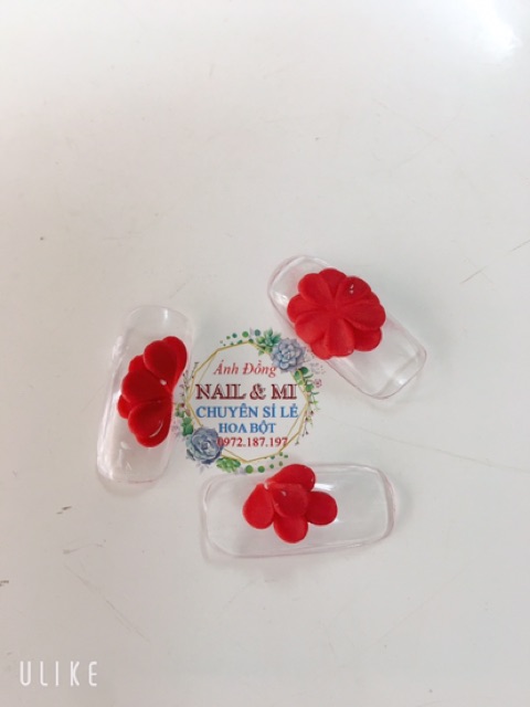 Trọn bộ khuôn hoa bột nail